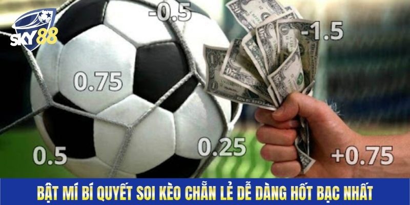 Bật mí bí quyết soi kèo chẵn lẻ dễ dàng hốt bạc nhất