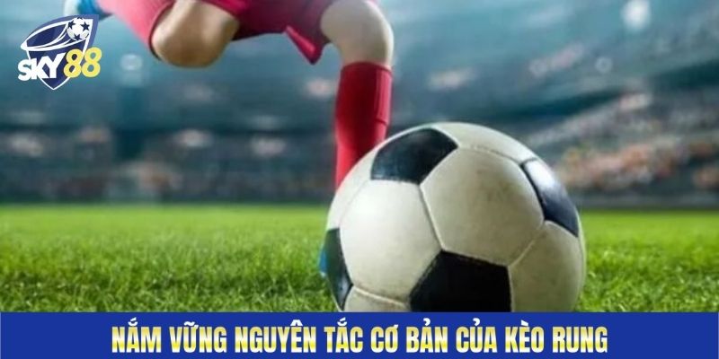 Nắm vững nguyên tắc cơ bản của kèo rung