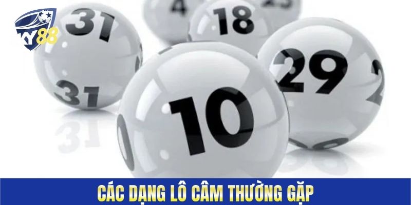 Các dạng lô câm thường gặp