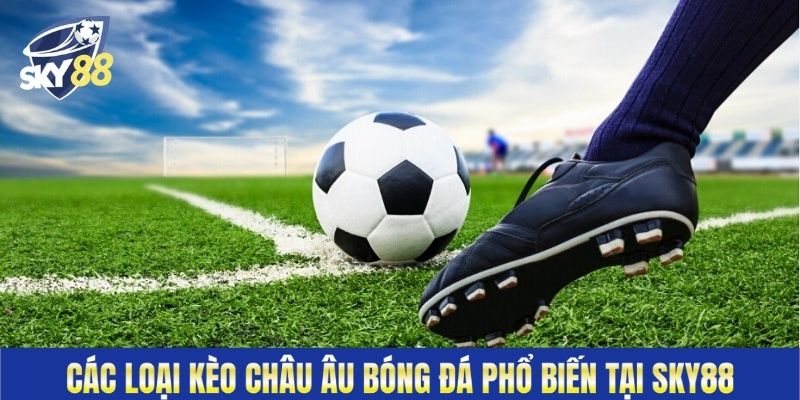 Các loại kèo Châu Âu bóng đá phổ biến tại Sky88