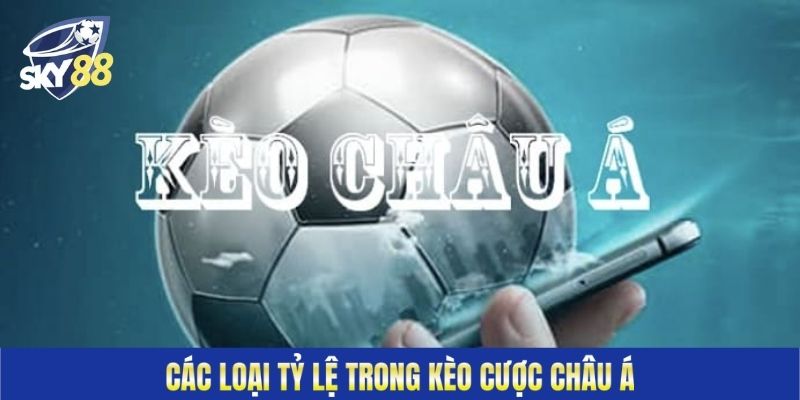 Các loại tỷ lệ trong kèo cược châu Á