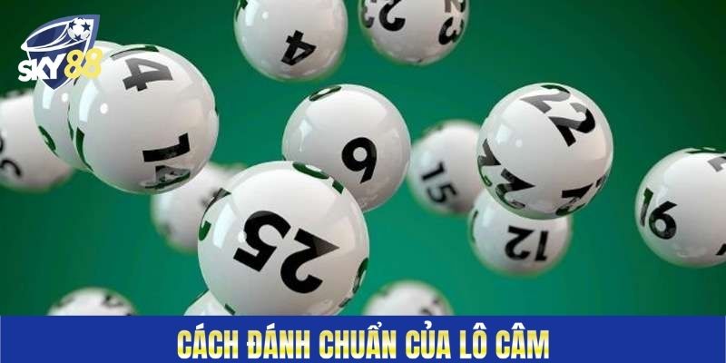 Cách đánh chuẩn của lô câm&nbsp;