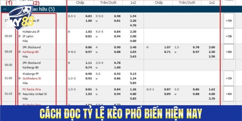Cách đọc tỷ lệ kèo phổ biến hiện nay