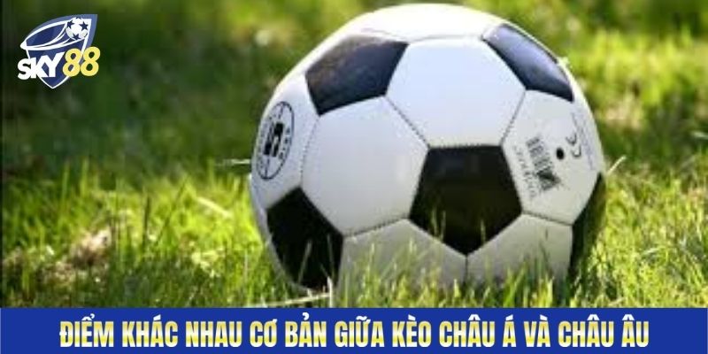 Điểm khác nhau cơ bản giữa kèo Châu Á và Châu Âu