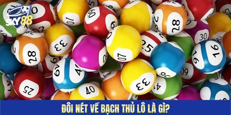 Bạch thủ lô là gì?
