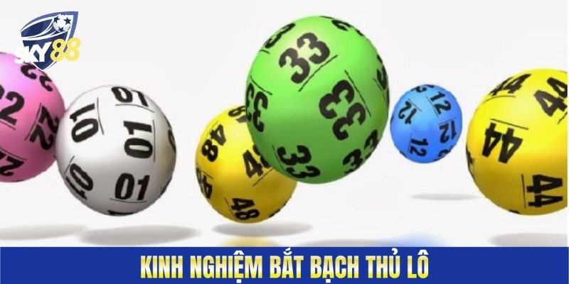 Kinh nghiệm bắt bạch thủ lô