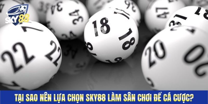 Tại sao nên lựa chọn Sky88 làm nhà cái để cá cược?