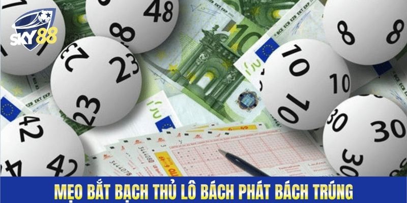 Mẹo bắt bạch thủ lô bách phát bách trúng