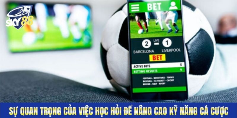 Sự quan trọng của việc học hỏi để nâng cao kỹ năng cá cược