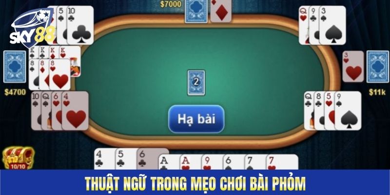 Thuật ngữ trong mẹo chơi bài Phỏm