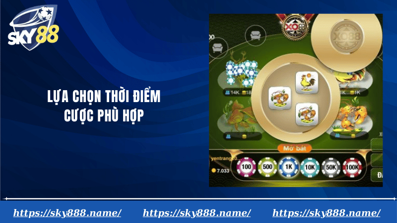 Lựa chọn thời điểm cược phù hợp