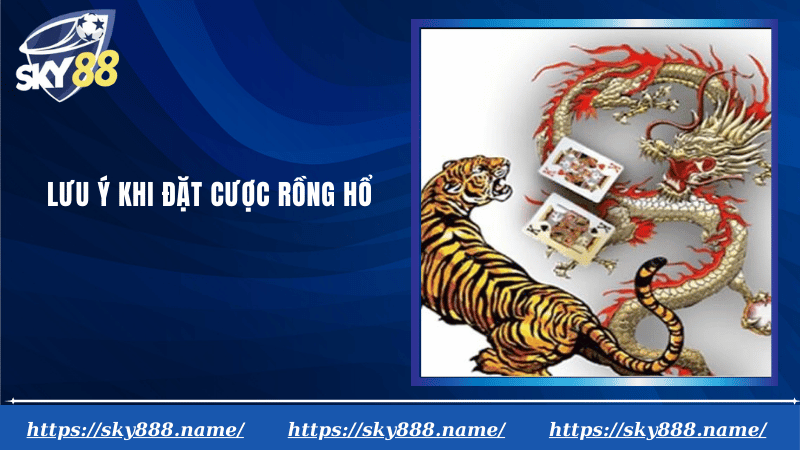 Lưu ý khi đặt cược rồng hổ