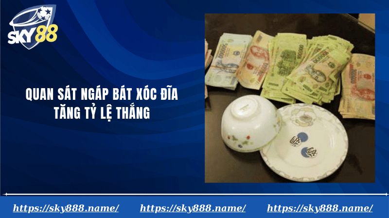 Quan sát ngáp bát xóc đĩa tăng tỷ lệ thắng