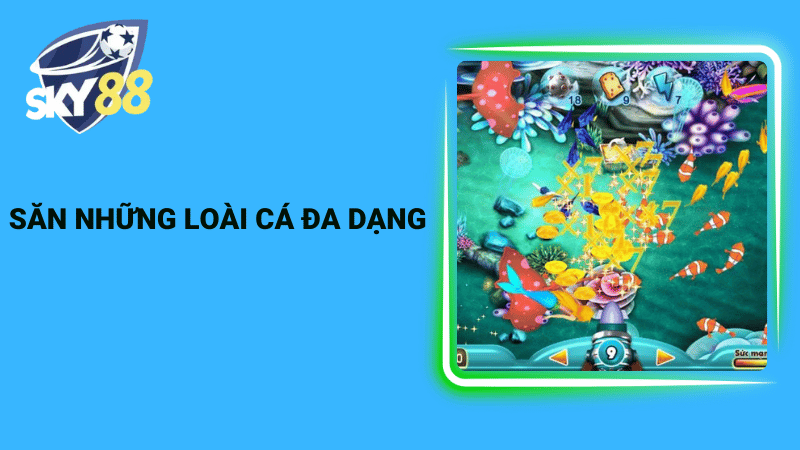 Săn những loài cá đa dạng