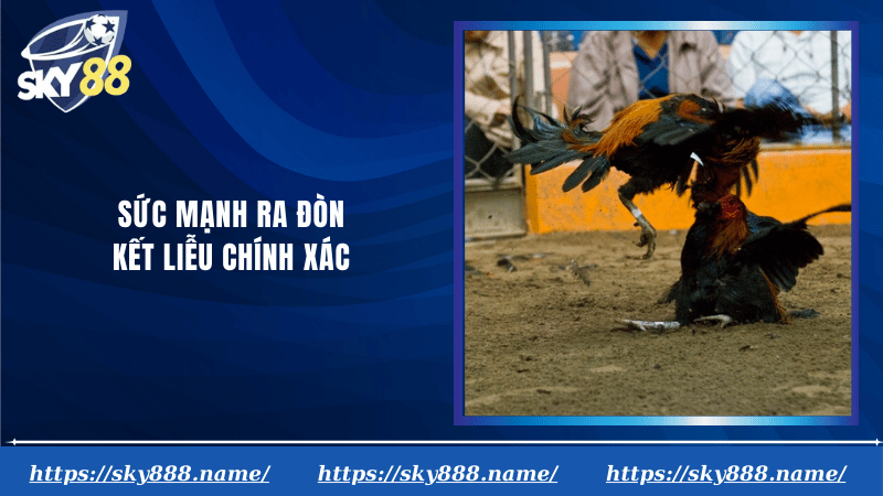 Sức mạnh ra đòn kết liễu chính xác