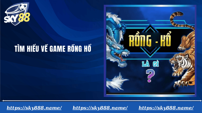 Tìm hiểu về game rồng hổ