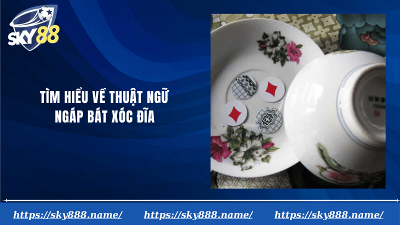 Tìm hiểu về thuật ngữ ngáp bát xóc đĩa