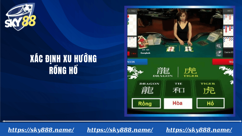 Xác định xu hướng rồng hổ