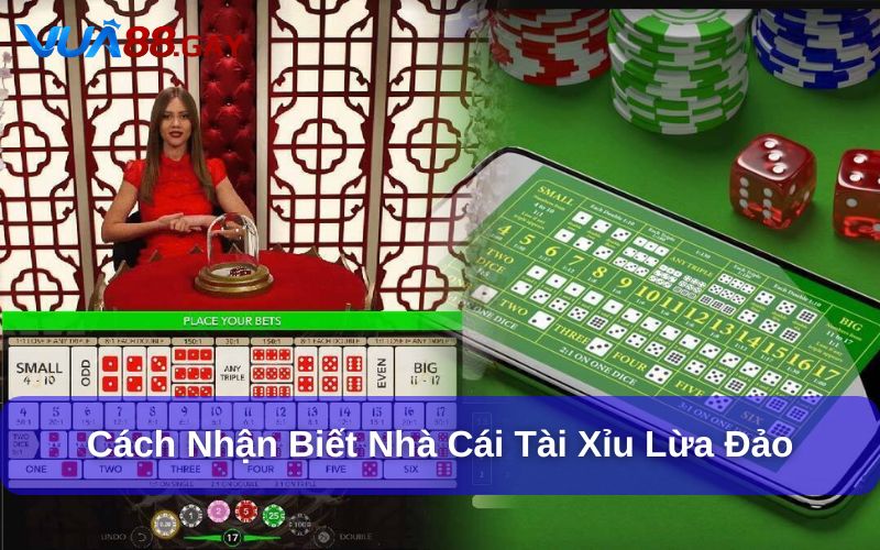 Hướng dẫn cách nhận biết nhà cái tài xỉu lừa đảo từ chuyên gia Vua88